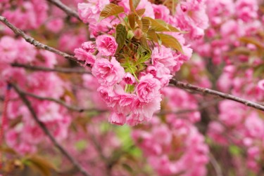 无锡锡山区1线下个人借款平台一站式服务，轻松解决资金难题