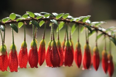 无锡锡山区1零用贷短借：轻松解决临时资金需求
